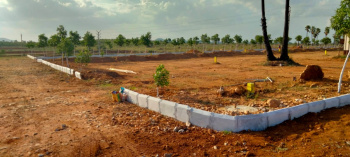 100 Sq. Yards Residential Plot for Sale in Pipalsana, Moradabad