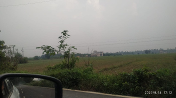 10 Acre Agricultural/Farm Land for Sale in Ramnagar, Nainital