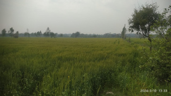 25 Bigha Agricultural/Farm Land for Sale in Ramnagar, Nainital
