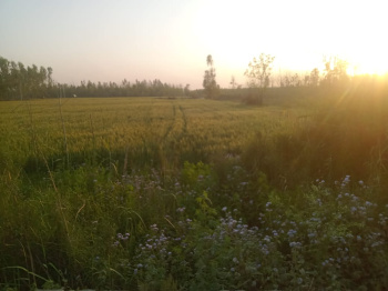 Property for sale in Kanth Moradabad