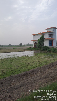 Individual Houses for Sale in Dhanaura, Amroha (96 Bigha)