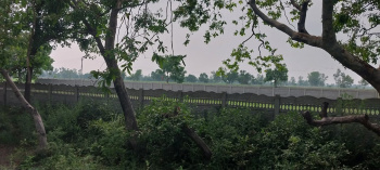 Agricultural/Farm Land for Sale in Budhi Vihar, Moradabad (52 Bigha)