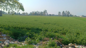 Industrial Land / Plot for Sale in Delhi Road, Moradabad (22 Bigha)