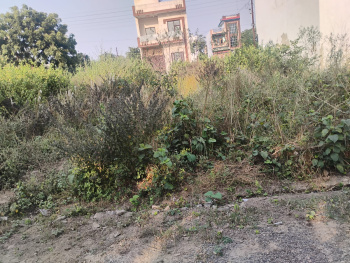 Residential Plot for Sale in New Moradabad, Moradabad (40 Sq. Meter)