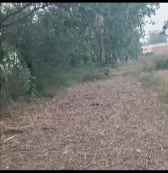 Agricultural/Farm Land for Sale in Bilari, Moradabad (9 Bigha)