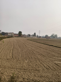 Agricultural/Farm Land for Sale in Garhmukteshwar, Hapur (20 Bigha)