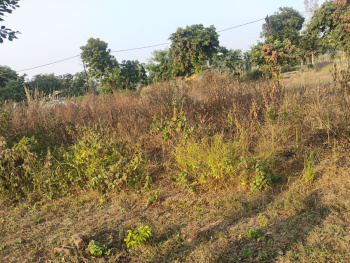 Agricultural/Farm Land for Sale in Budhi Vihar, Moradabad (300 Sq. Meter)