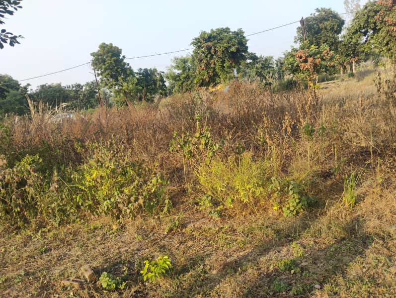 Agricultural/Farm Land for Sale in Budhi Vihar, Moradabad (300 Sq. Meter)