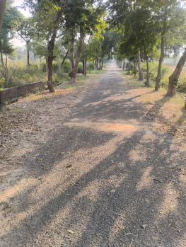 Residential Plot for Sale in Budhi Vihar, Moradabad (450 Sq. Meter)