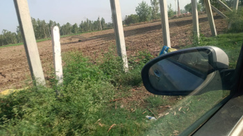 Agricultural/Farm Land for Sale in Bilari, Moradabad (60 Bigha)