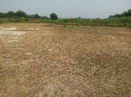 Agricultural Land For Sale In Delhi Road Moradabad