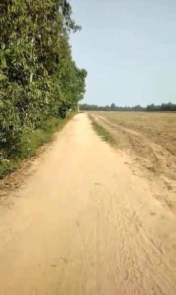 300 Bigha Agricultural/Farm Land for Sale in Mundha Pande, Moradabad