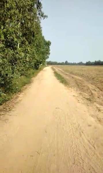 300 Bigha Agricultural/Farm Land for Sale in Mundha Pande, Moradabad