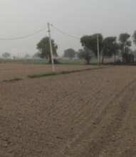 280 Sq. Meter Commercial Lands /Inst. Land for Sale in Buddhi Vihar, Moradabad