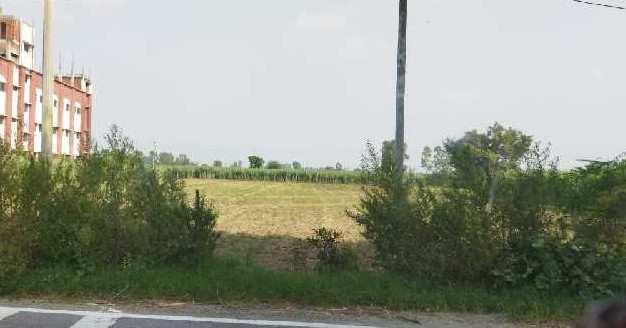 1 Bigha Agricultural/Farm Land for Sale in Kanth Road, Moradabad