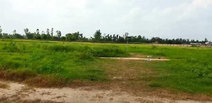 42 Bigha Agricultural/Farm Land for Sale in Gajraula