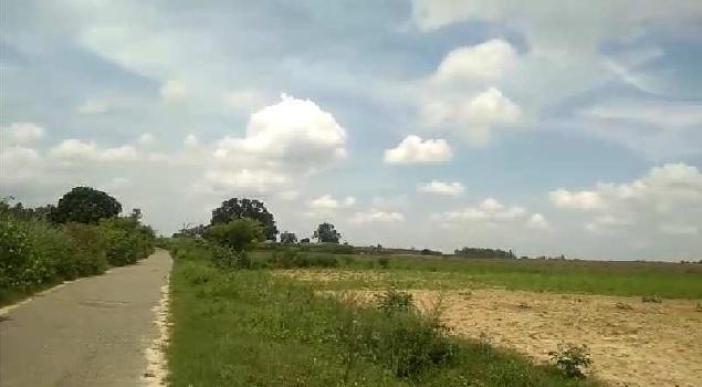 475 Bigha Agricultural/Farm Land for Sale in Shahabad, Rampur