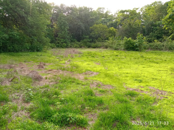 Property for sale in Revora, Goa
