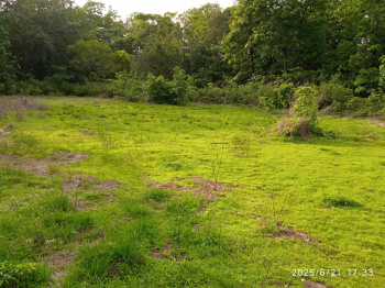 Property for sale in Revora, Goa