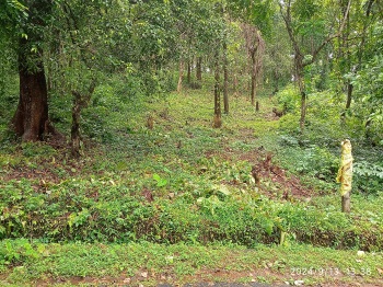 Property for sale in Pomburpa, Goa