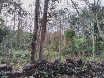 3200 sqmt property in settlement zone for sale in Salvador do mundo