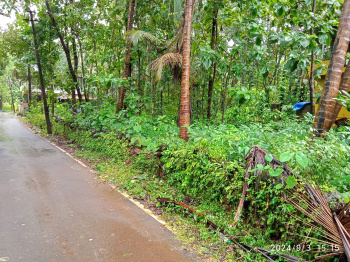 Fully settlement  zone 1900 sqmt property  in Anjuna Goa for sale