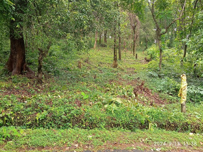 Prime property  in Anjuna  for Sale