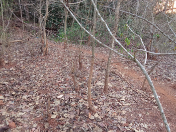 Fully settlement property  with sanad for sale in bastora, north goa