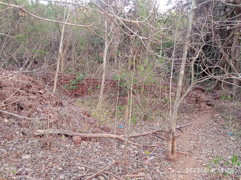Property for sale in Bastora, Goa
