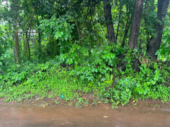 500 sqmt settlement zone property for Sale in Tivim Goa
