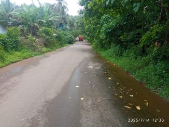 5 acre property for sale in prime siolim, Goa