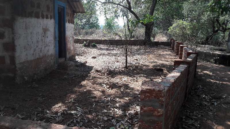 Property for sale in anjuna