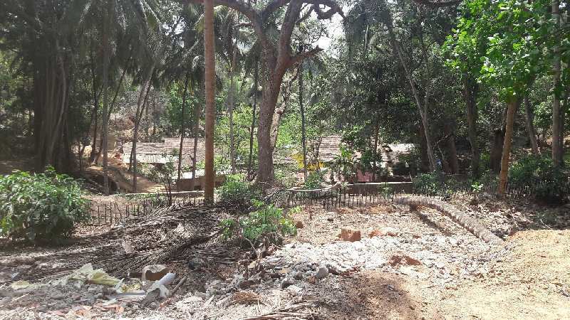 3700 sqmt property in S2 zone for sale in Anjuna