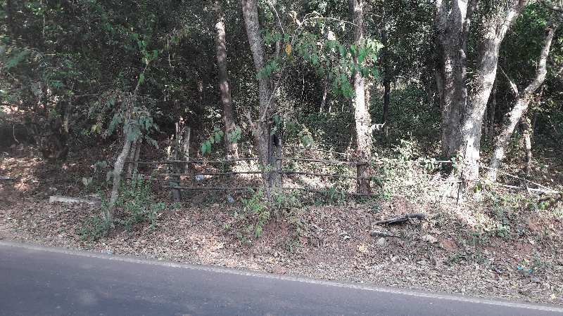 Prime commercial property in Anjuna Goa for sale