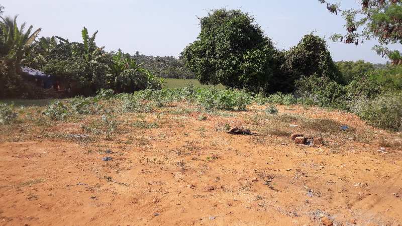 Land for sale in Calangute North Goa