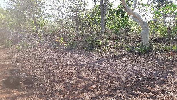 7 acre property in Nerul North Goa for sale