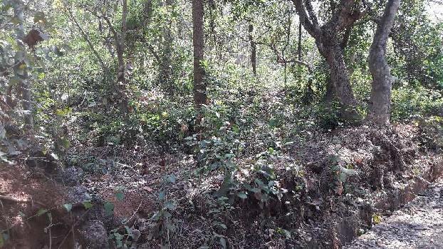 1 acre property with sanad for sale in Siolim Goa