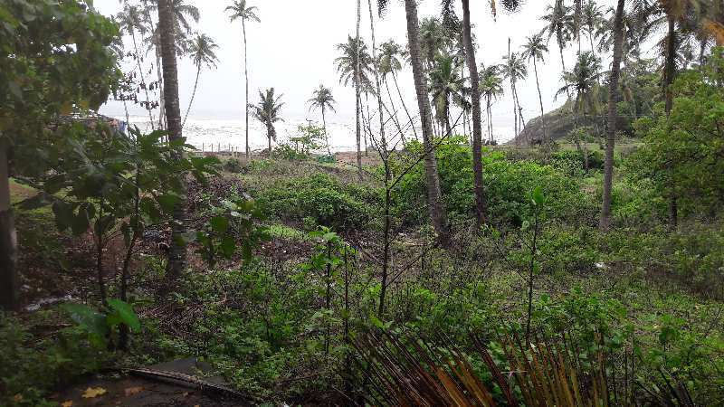 Beach Side Property in Anjuna North Goa For Sale