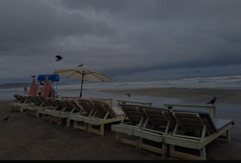 4000 Sq. Meter Hotel & Restaurant for Rent in Morjim, Goa