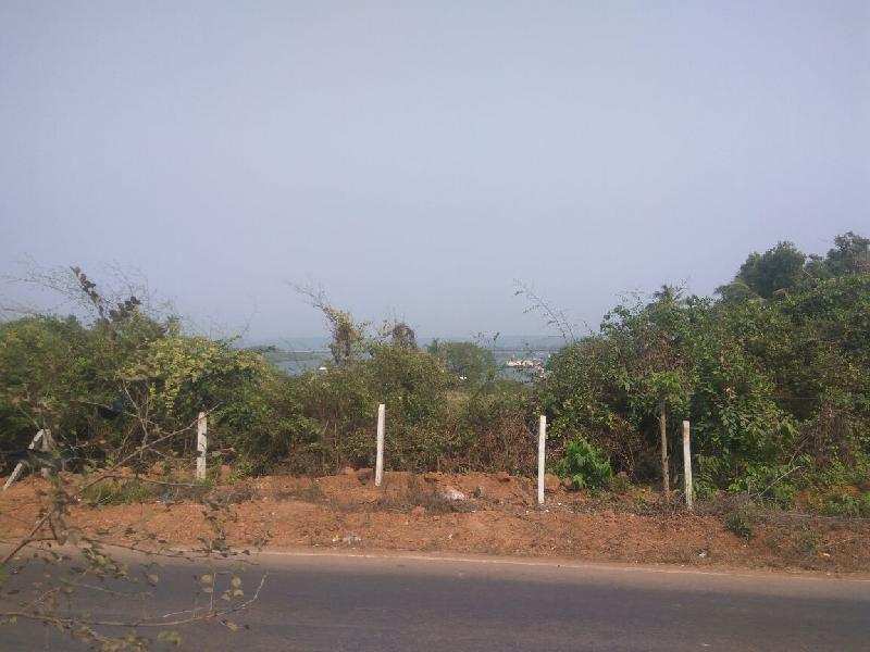 Residential Plot for Sale in Morjim, Goa (720 Sq. Meter)