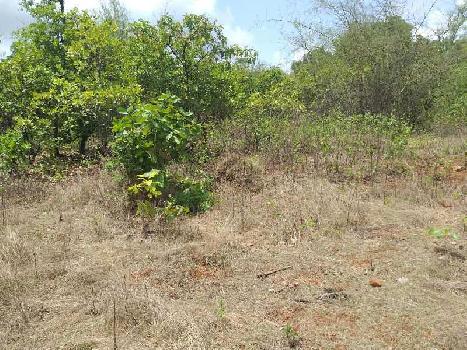 Property for sale in Moira, North Goa