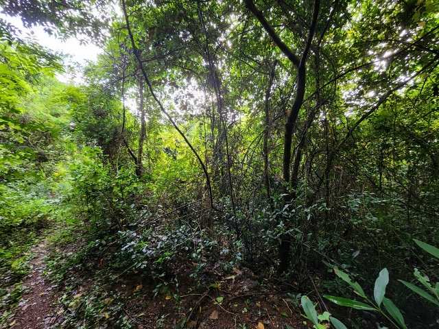 30,000sqmt Property for Sale in Chorao Island, North-Goa. (10.50Cr)