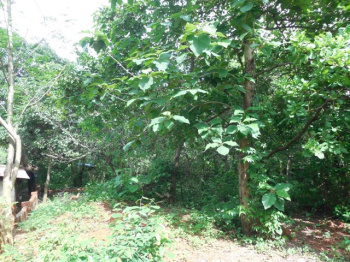 300sqmt Plot Settlement for Sale in Socorro, Porvorim, North-Goa.(66L)