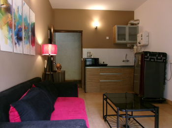Studio Flat 45Sq.mts furnished for Rent in Arpora, North-Goa.(25k)