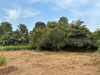 615Sq.mts Settlement Plot with Sanad for Sale in Salvador do Mundo, Porvorim, North-Goa. (2.46Cr)