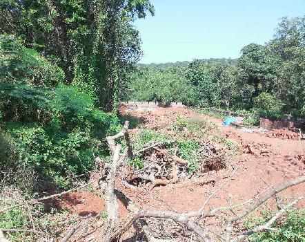 2225Sqmt Plot for Sale in Salvador do mundo, Porvorim, North-Goa.