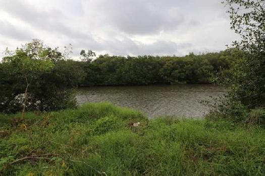 1080sqmt River touch Plot for Sale in Bambolim, North-Goa.(3.24Cr)