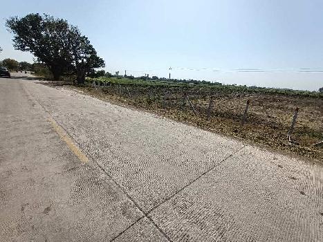1 Bigha Agricultural/Farm Land for Sale in Sanwer, Indore