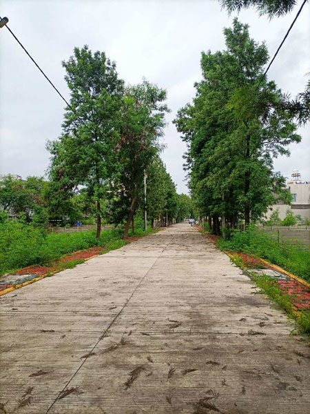 4000 Sq.ft. Residential Plot for Sale in Kanadia Road, Indore
