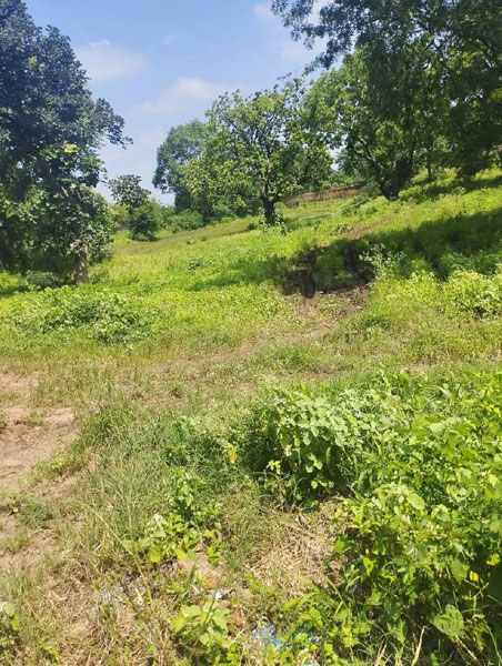 2.5 Ares Agricultural/Farm Land for Sale in Simrol, Indore